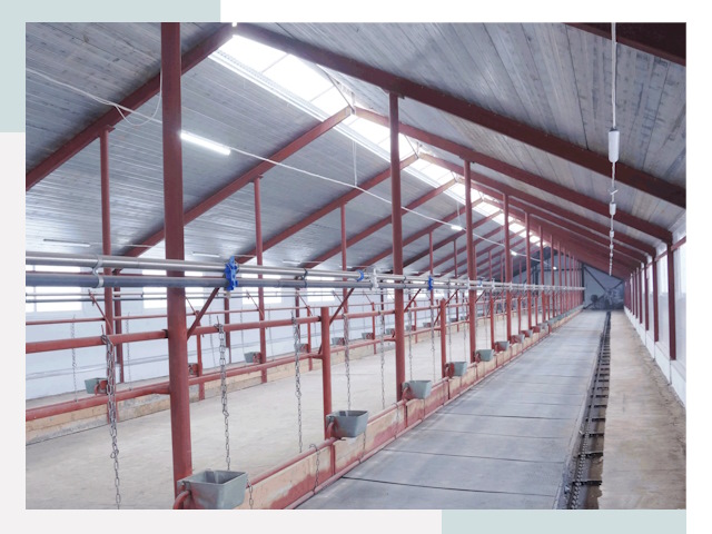 Строительство коровников в Нижнеудинске от 610 руб.