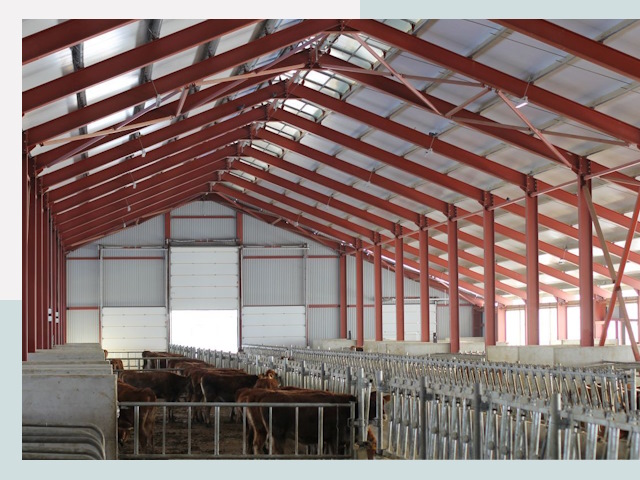 Строительство коровников в Нижнеудинске