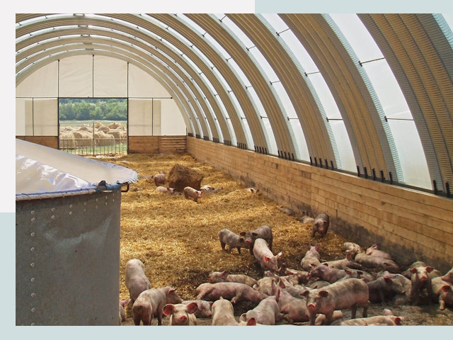 Строительство свинарников в Нижнеудинске